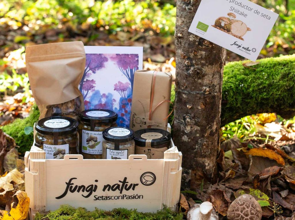 cesta regalo setas ecológicas