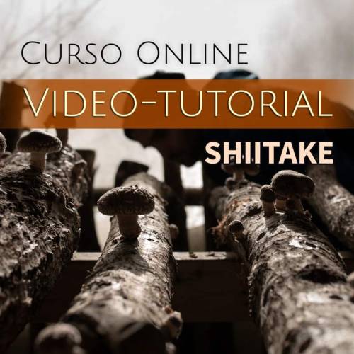 Curso video-tutorial de cultivo ecológico de shiitake
