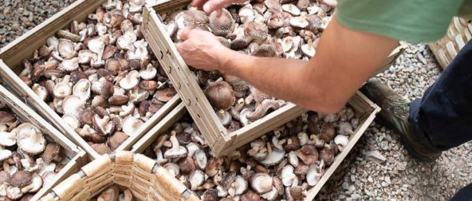 Cursos y talleres de formación