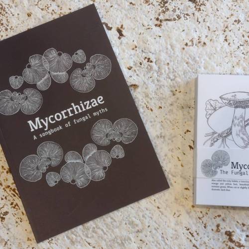 Pack libro  Mycorrhizae y baraja de 31 cartas Arquetipos