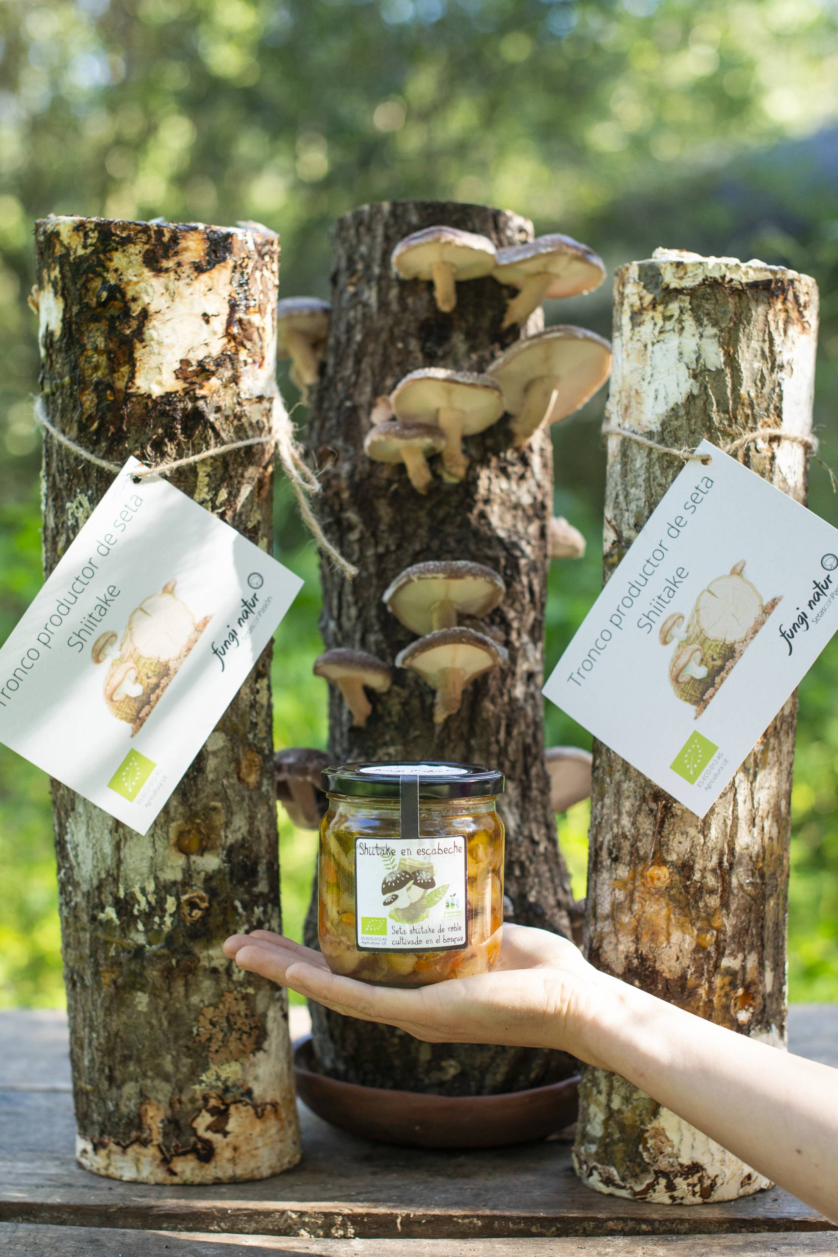 Offer 3x2 logs of shiitake producers + 1 shiitake pickle!