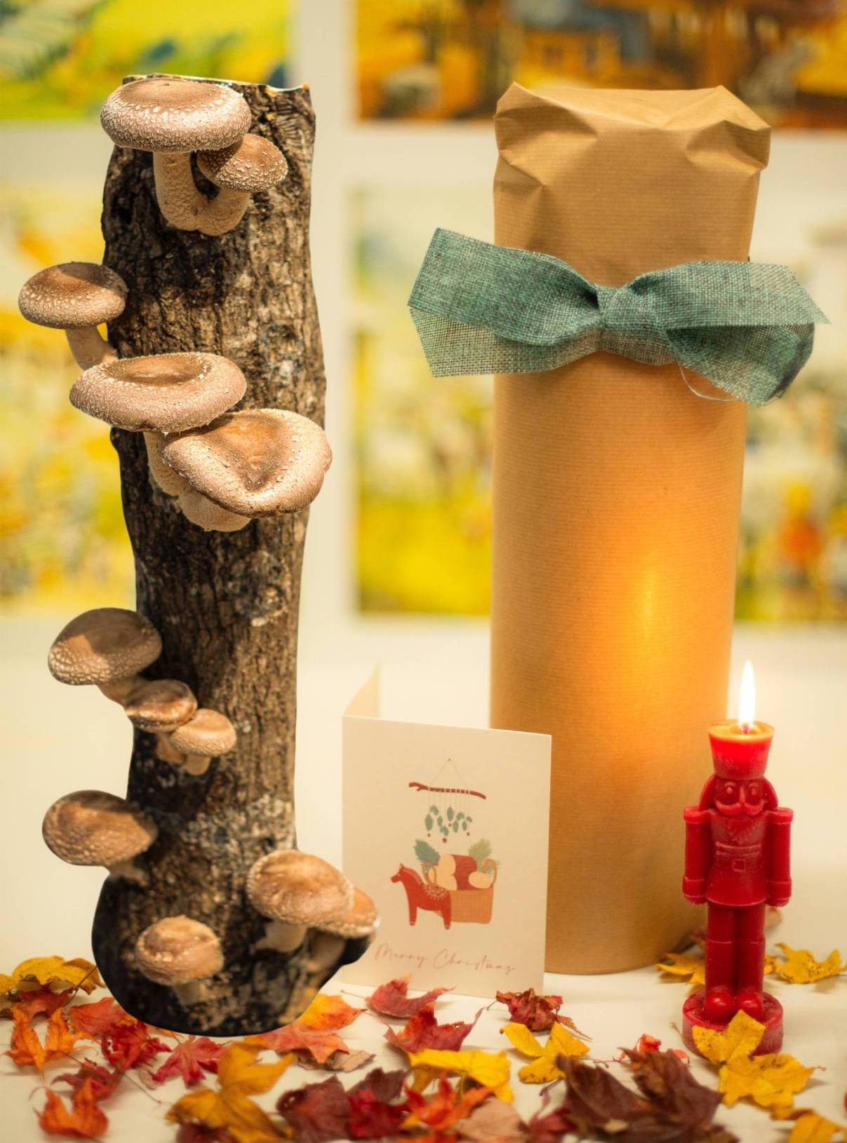 Tronco productor shiitake