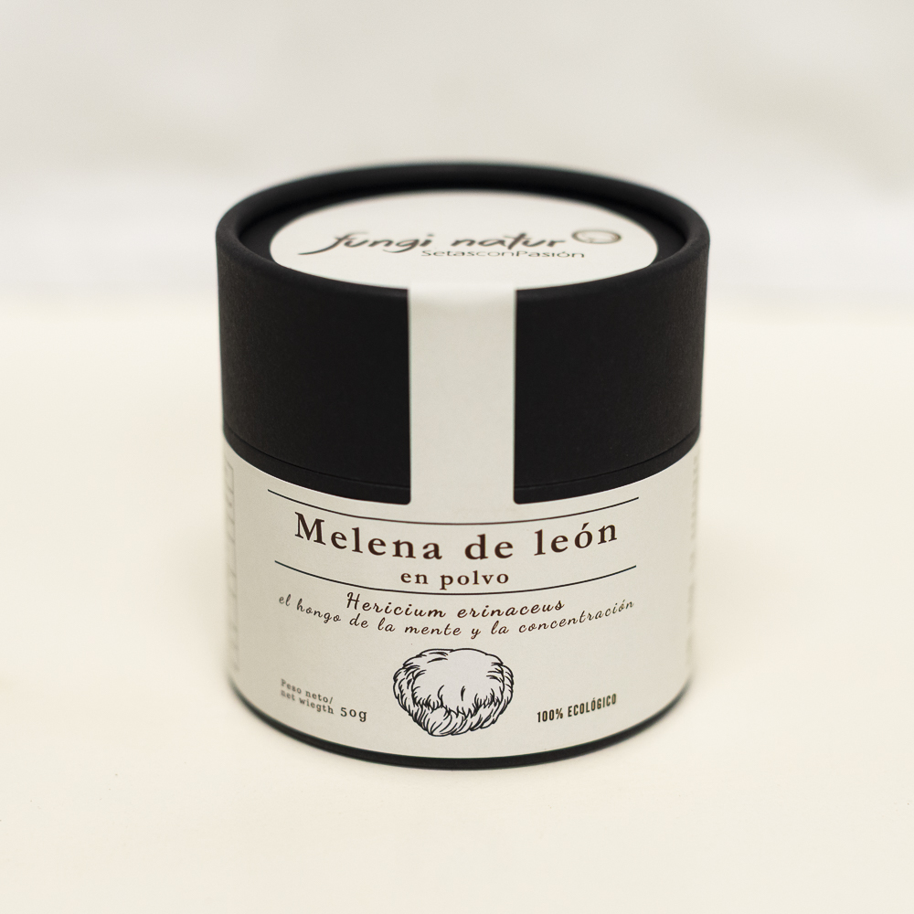 Melena de leon, ecologica seta hongo